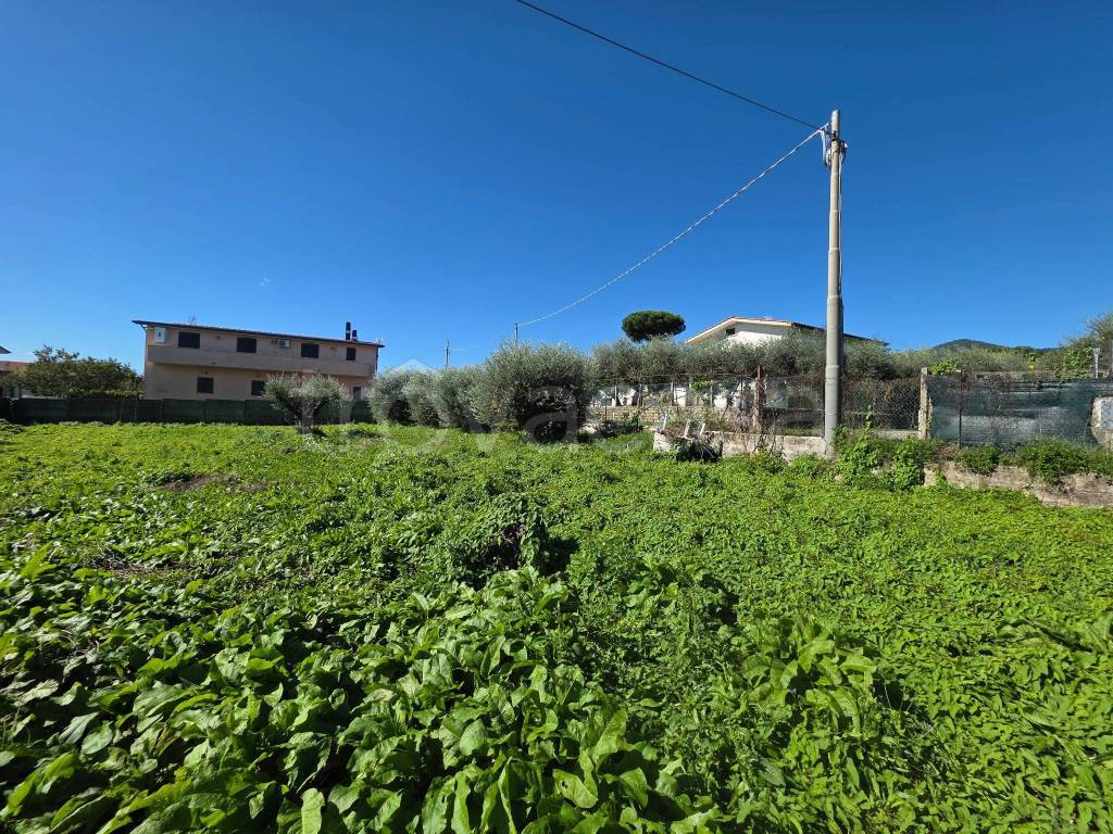 immagine annuncio 8 di 13