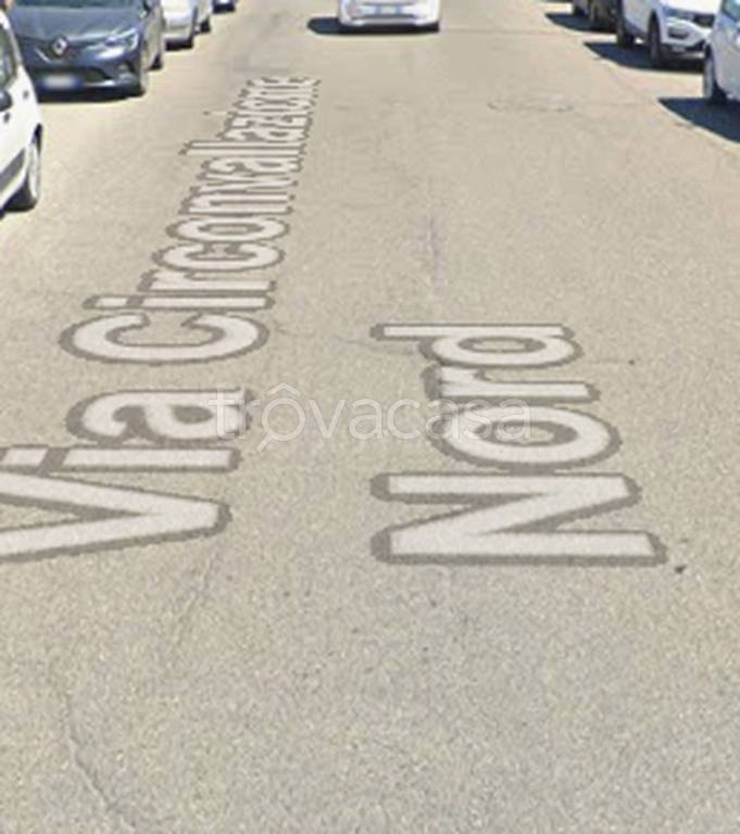 immagine annuncio 12 di 13