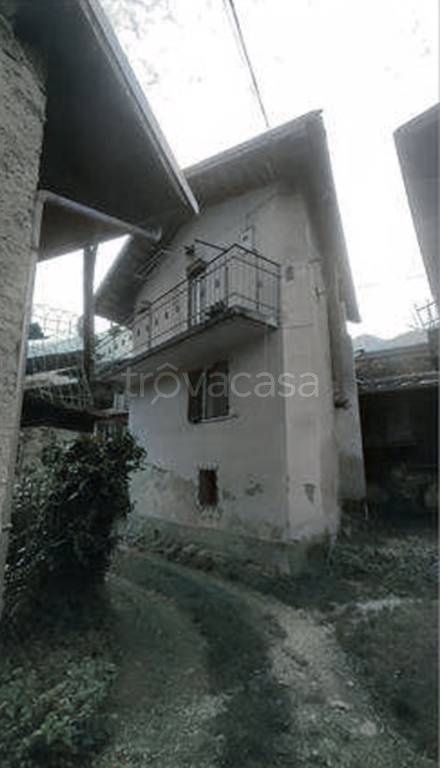 immagine annuncio 5 di 14