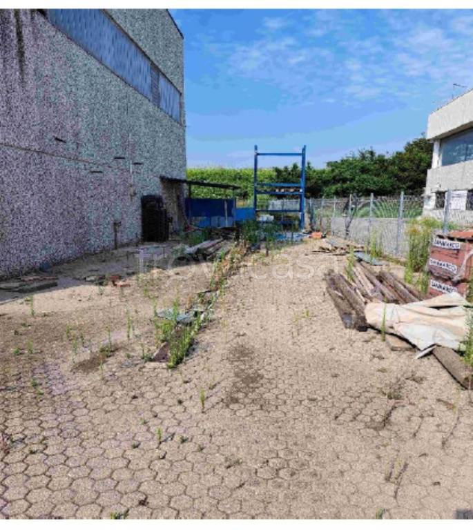 immagine annuncio 1 di 13