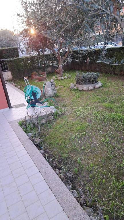 immagine annuncio 4 di 6