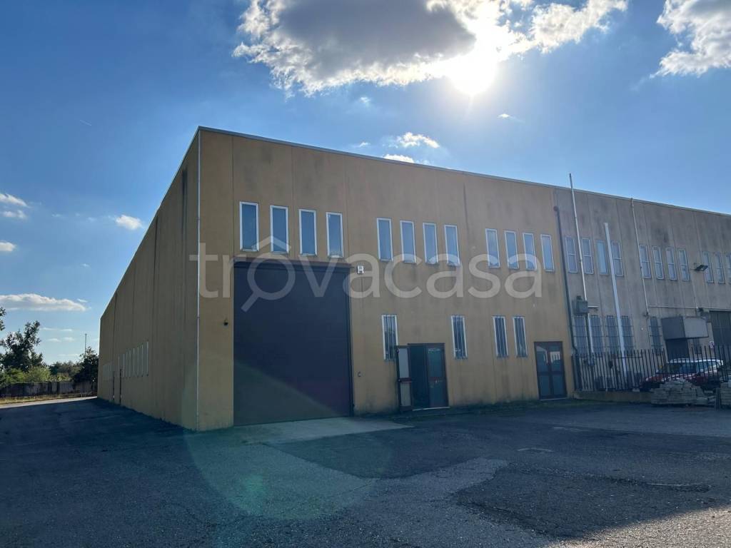 immagine annuncio 8 di 15