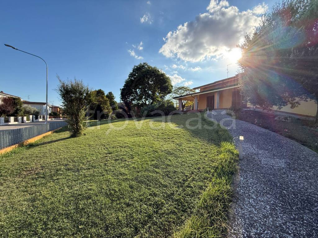 immagine annuncio 2 di 11