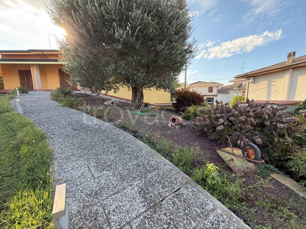 immagine annuncio 3 di 11