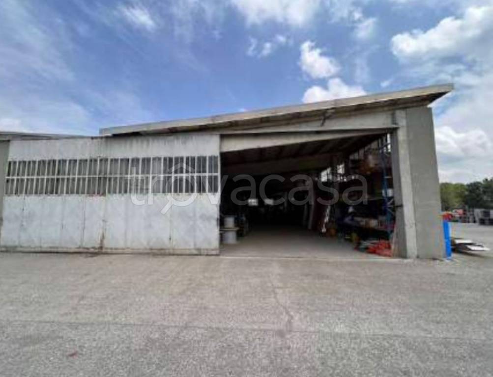 immagine annuncio 12 di 15