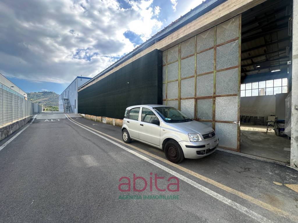immagine annuncio 2 di 9