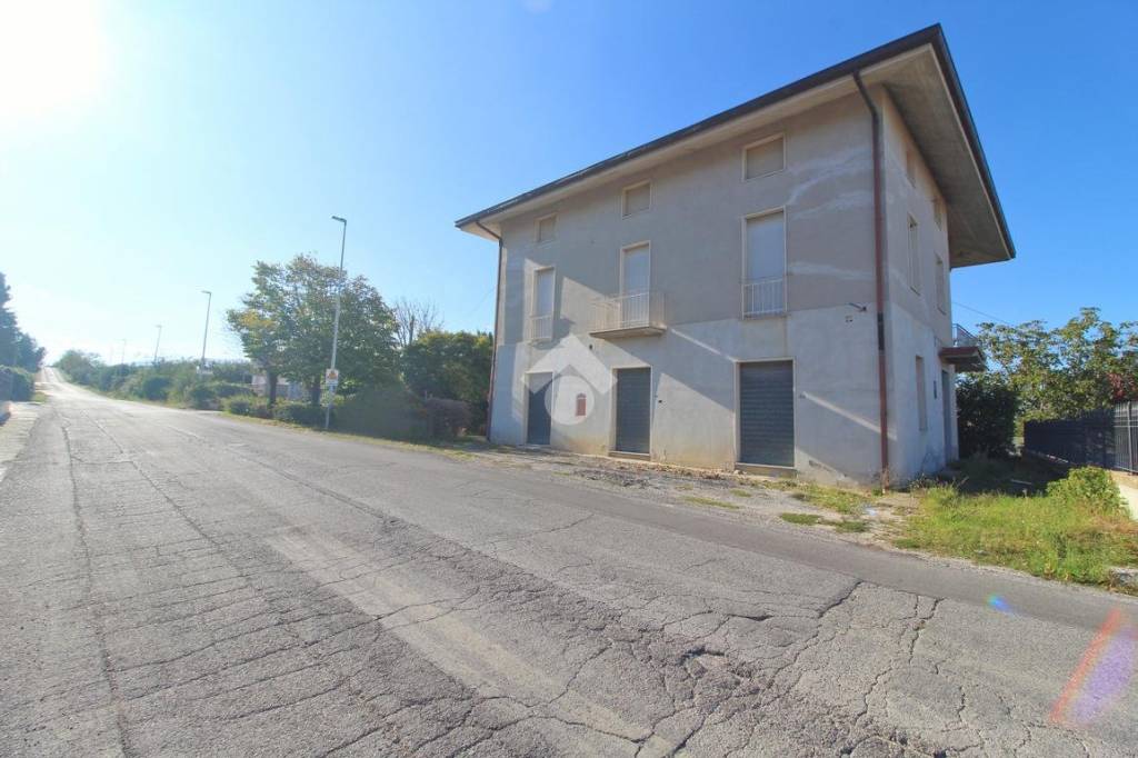 immagine annuncio 1 di 14