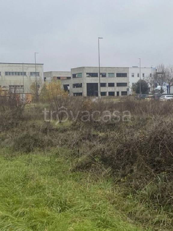 immagine annuncio 3 di 12