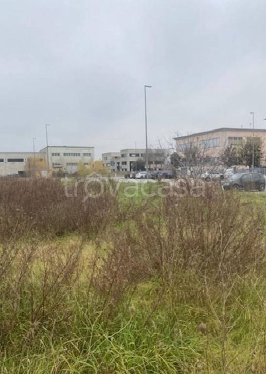 immagine annuncio 4 di 12