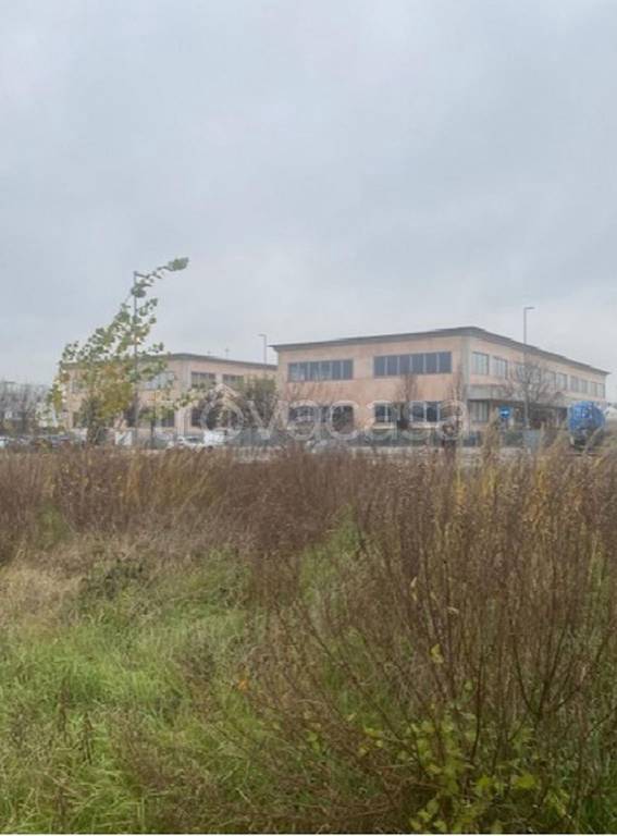 immagine annuncio 8 di 12