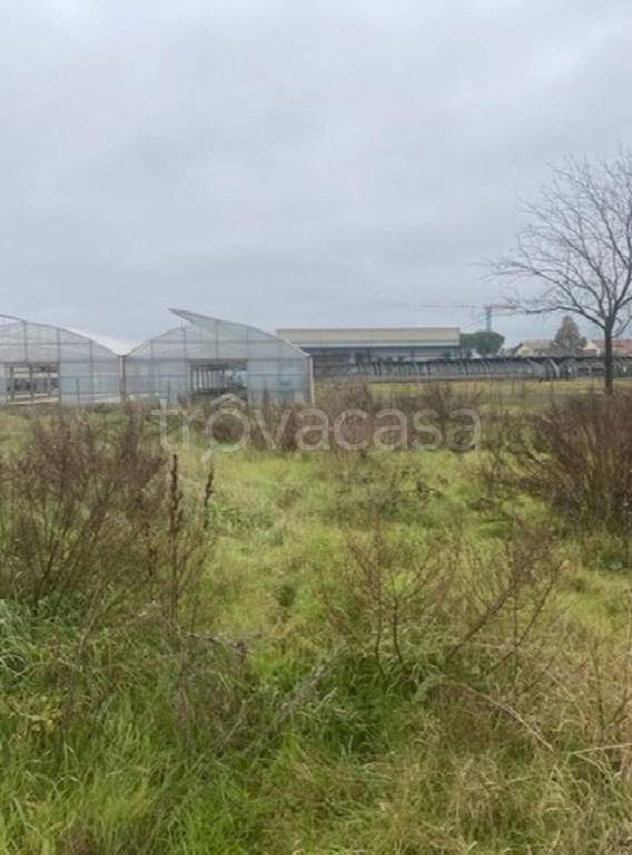 immagine annuncio 10 di 12