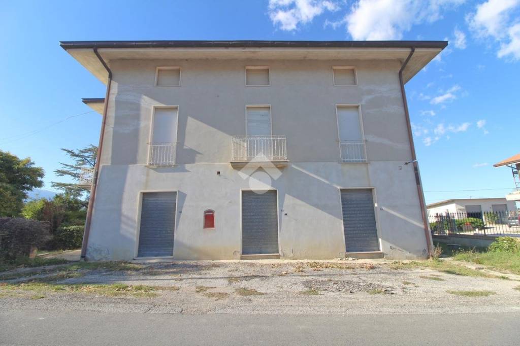 immagine annuncio 1 di 14