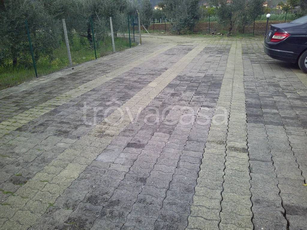 immagine annuncio 9 di 11