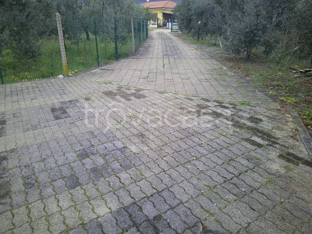 immagine annuncio 10 di 11