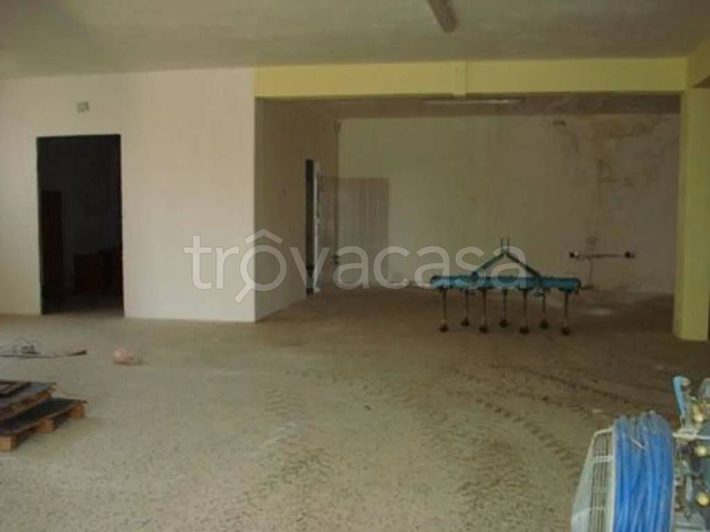 immagine annuncio 5 di 7