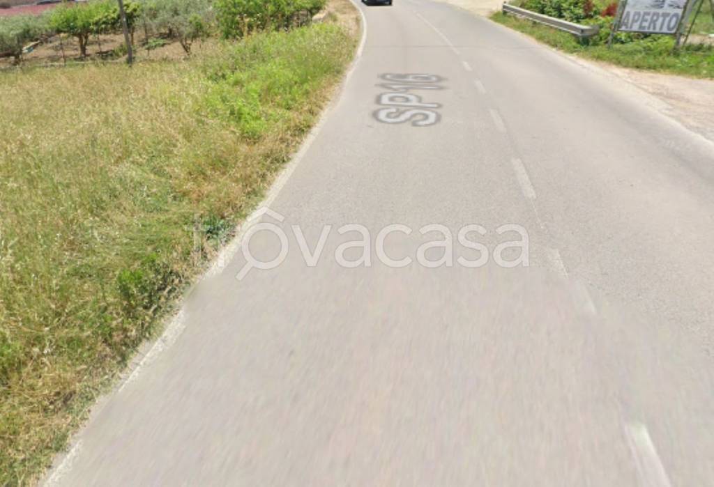 immagine annuncio 1 di 11