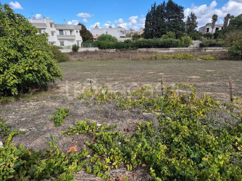 immagine annuncio 2 di 8