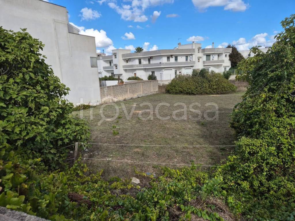 immagine annuncio 3 di 8