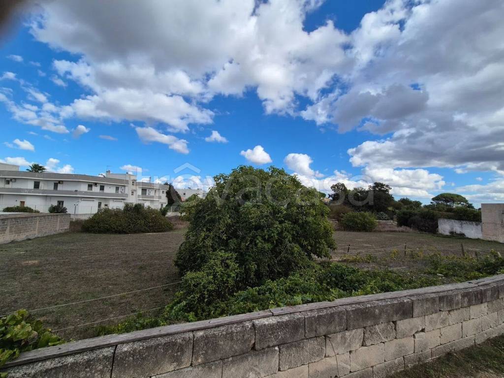 immagine annuncio 4 di 8