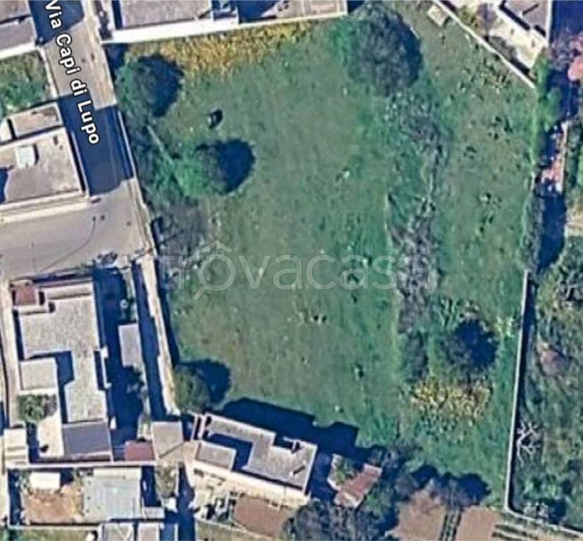 immagine annuncio 6 di 8