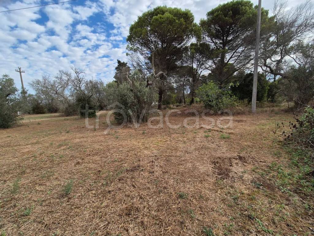 immagine annuncio 5 di 11