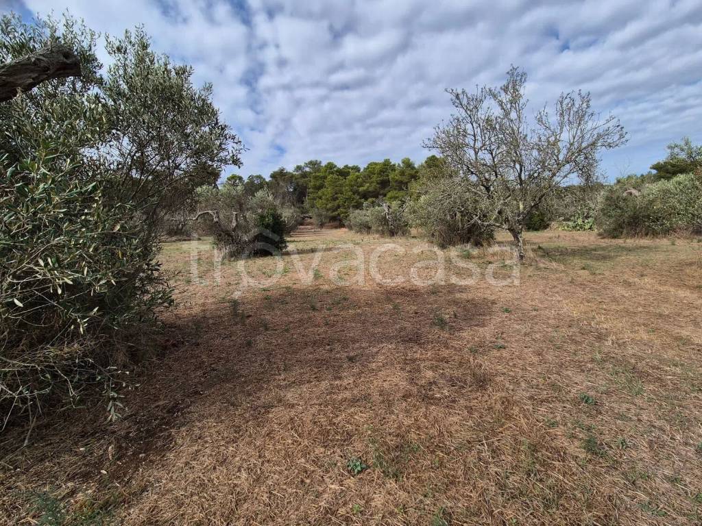 immagine annuncio 6 di 11