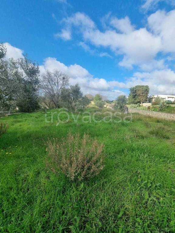 immagine annuncio 7 di 8