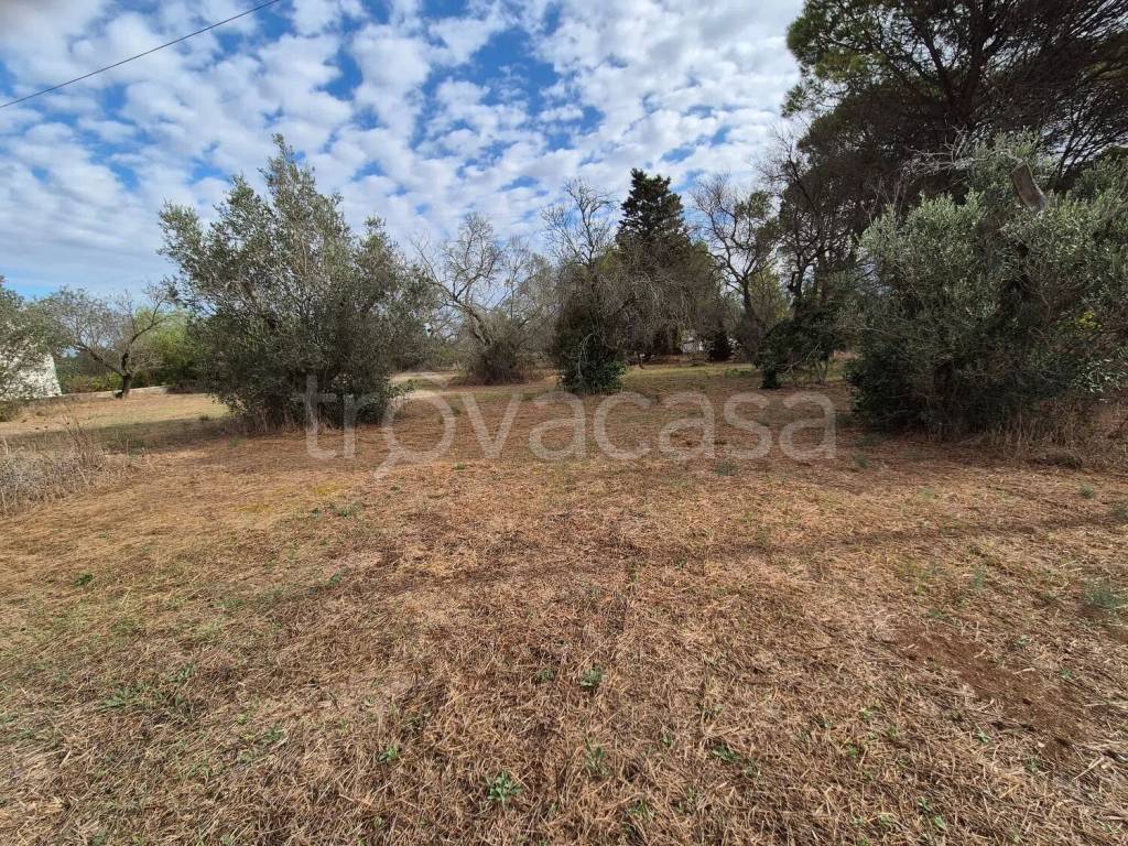 immagine annuncio 7 di 11