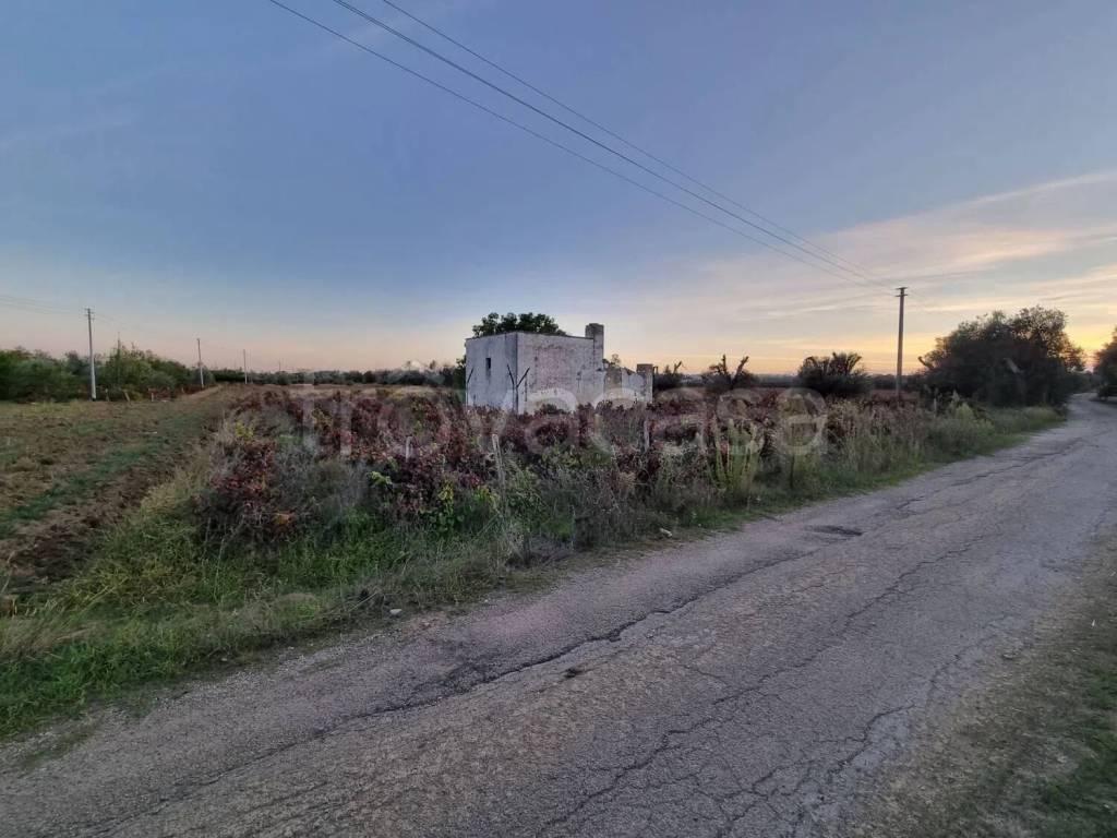 immagine annuncio 4 di 10