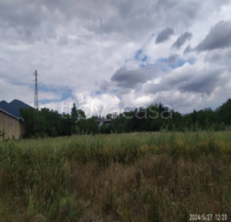 immagine annuncio 4 di 14