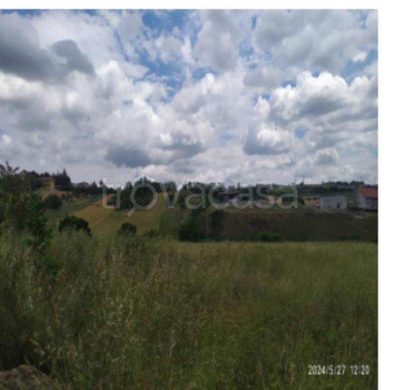 immagine annuncio 5 di 14