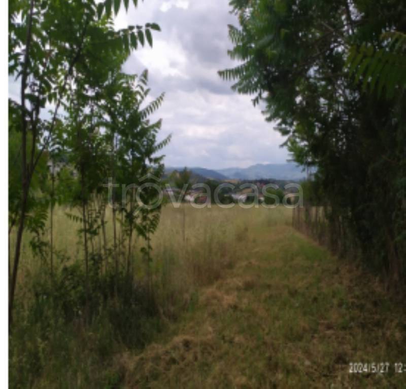 immagine annuncio 6 di 14