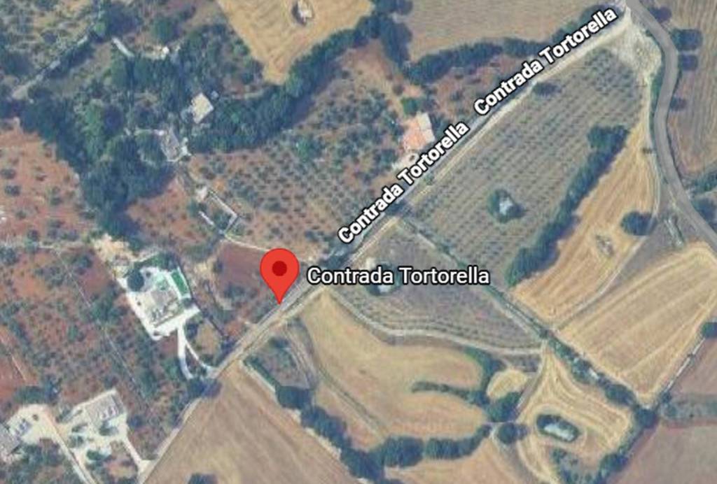 immagine annuncio 8 di 13