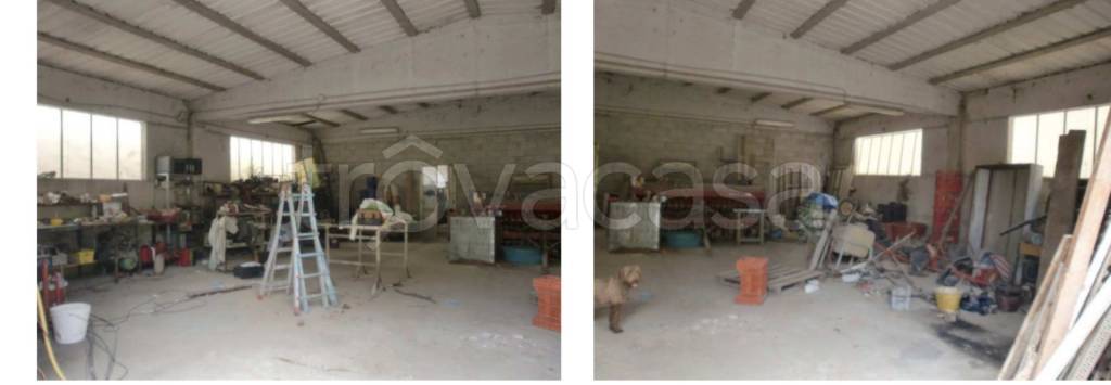 immagine annuncio 8 di 14