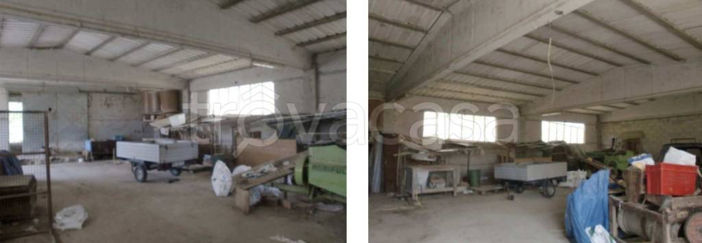 immagine annuncio 9 di 14