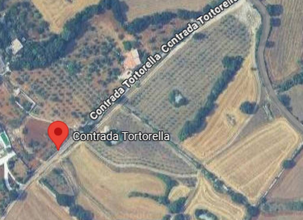 immagine annuncio 3 di 8