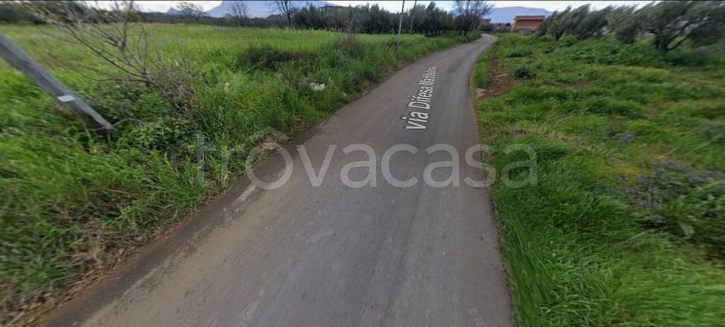 immagine annuncio 9 di 14