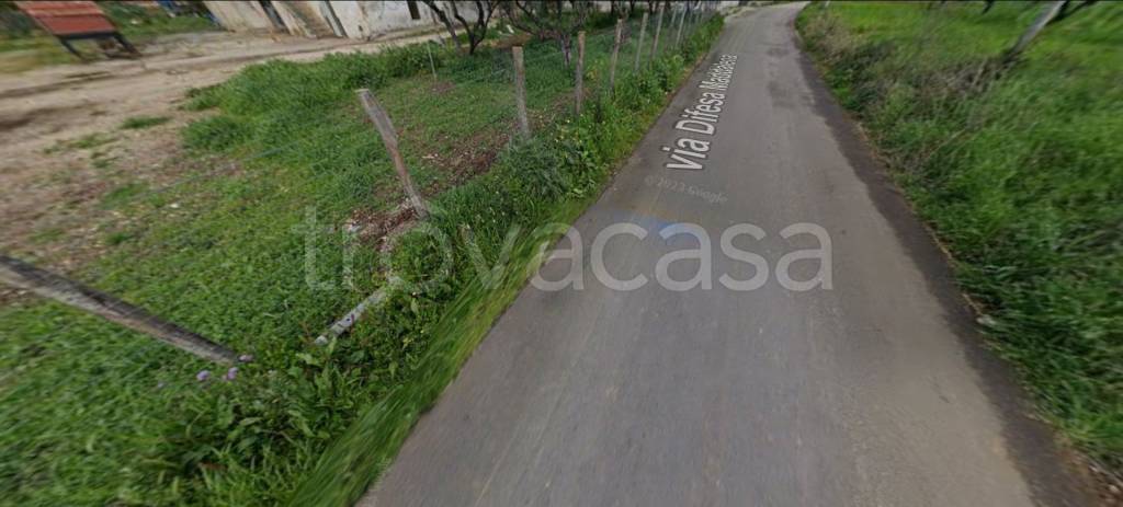 immagine annuncio 11 di 14