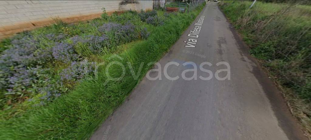 immagine annuncio 12 di 14