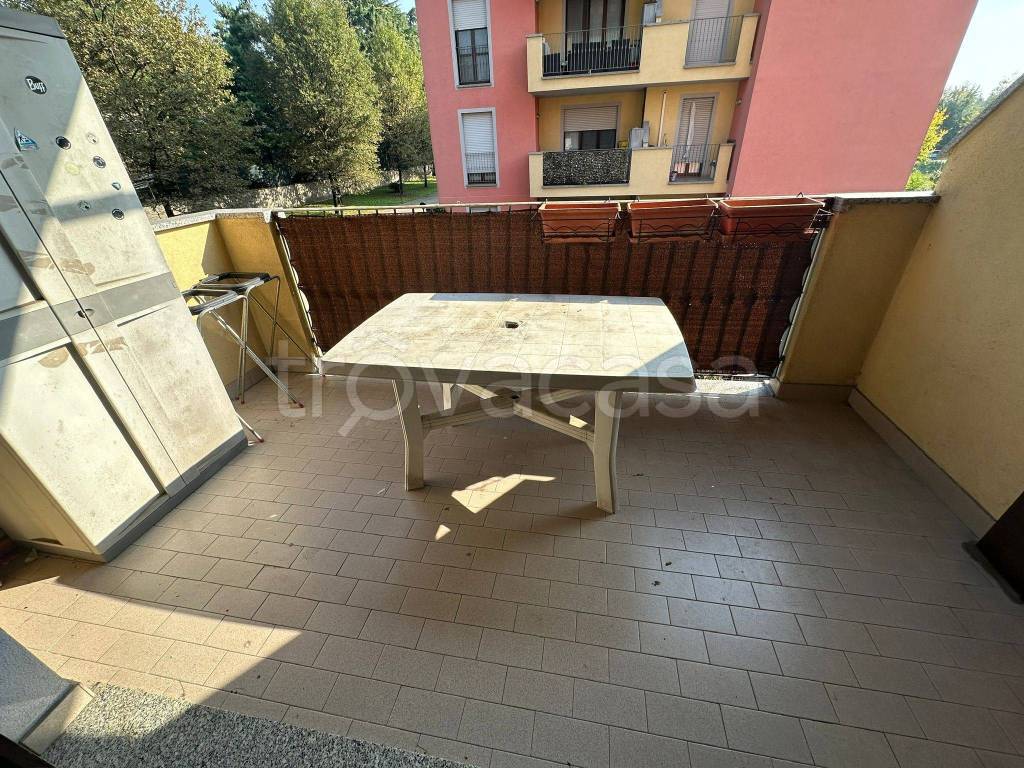 immagine annuncio 11 di 15