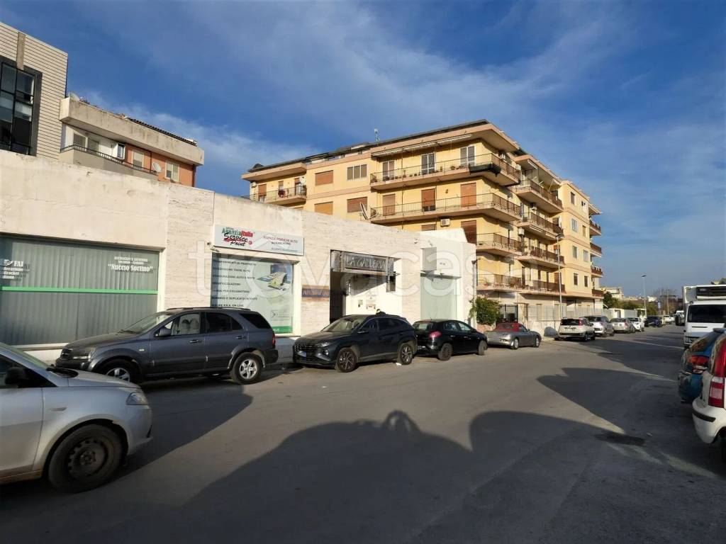 immagine annuncio 9 di 11