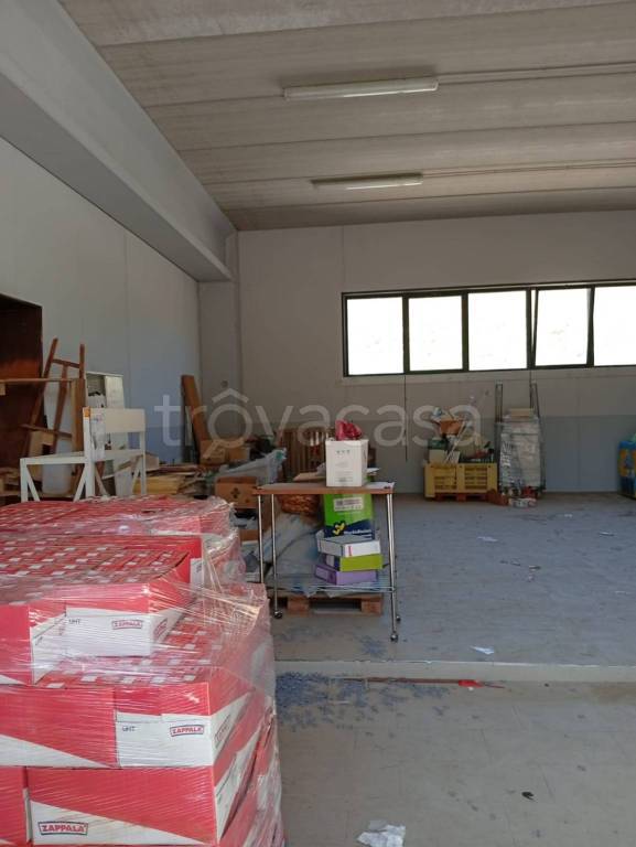 immagine annuncio 6 di 13