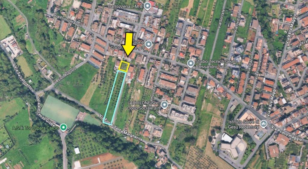 immagine annuncio 3 di 9