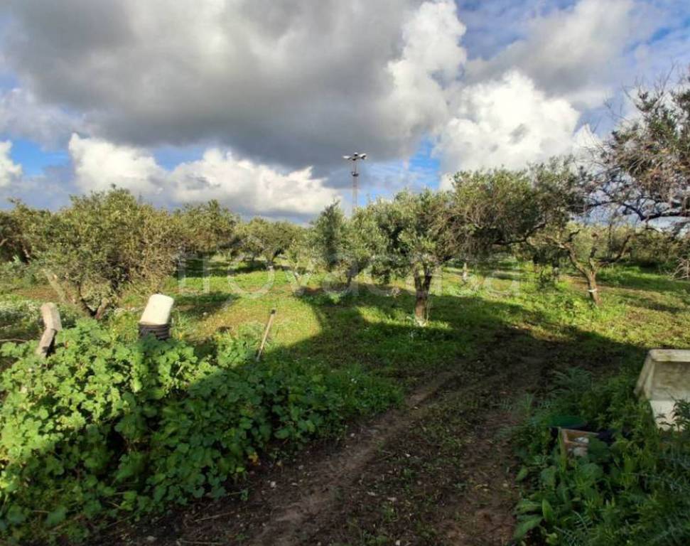 immagine annuncio 4 di 13