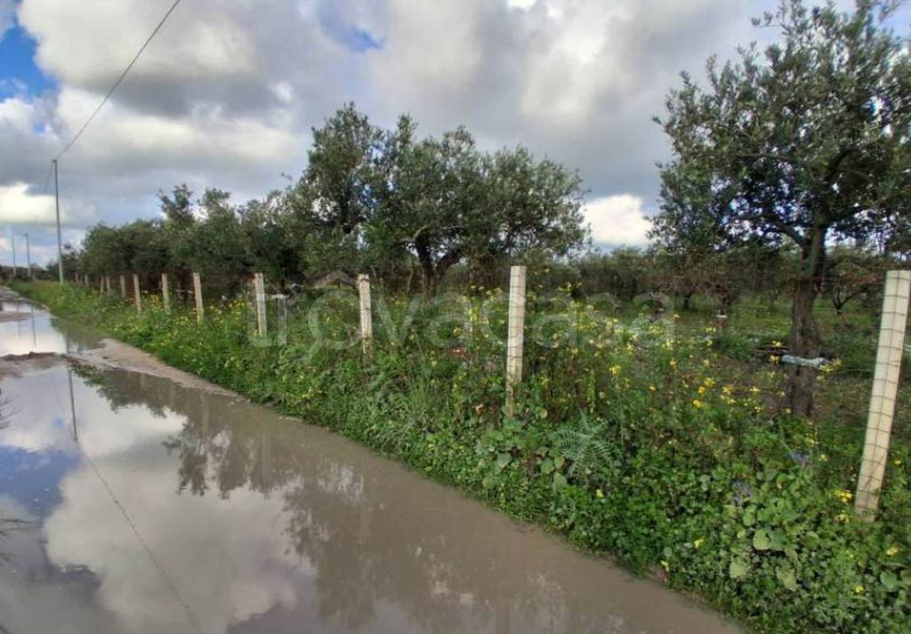 immagine annuncio 6 di 13