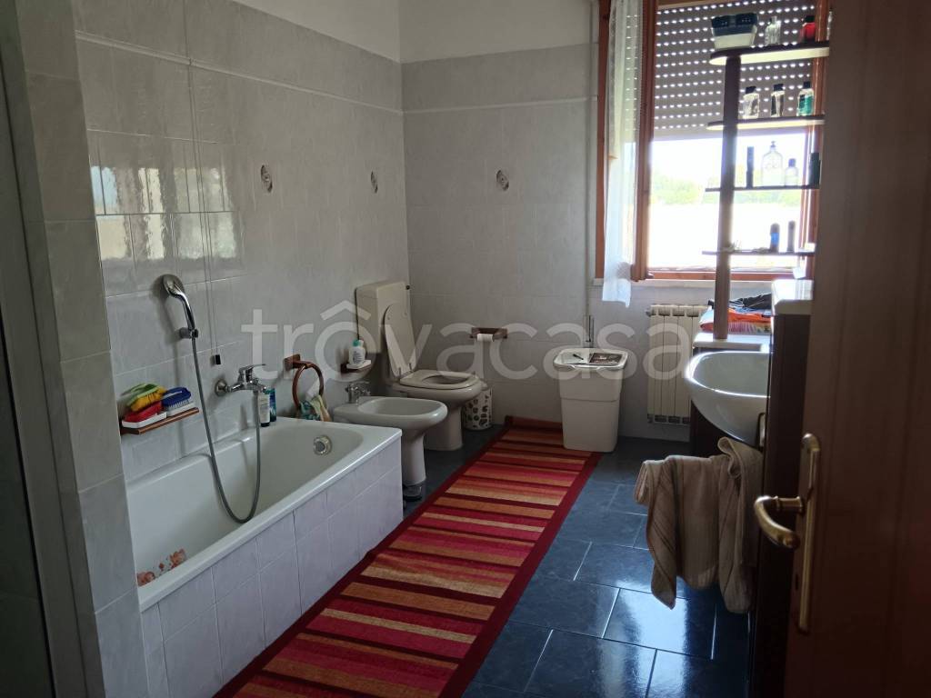 immagine annuncio 7 di 13