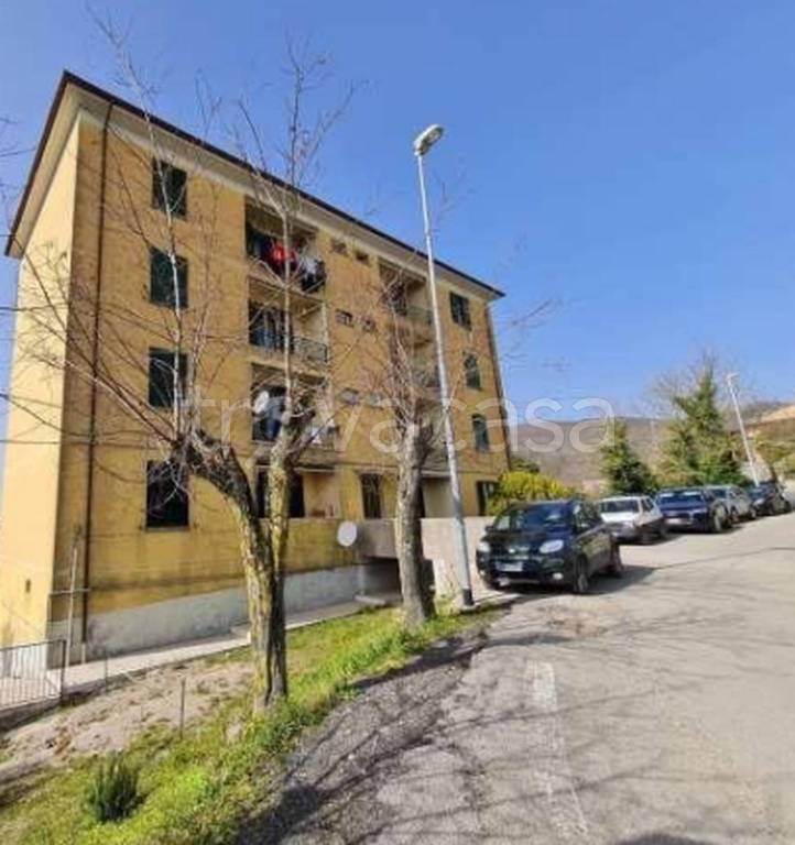 immagine annuncio 8 di 12