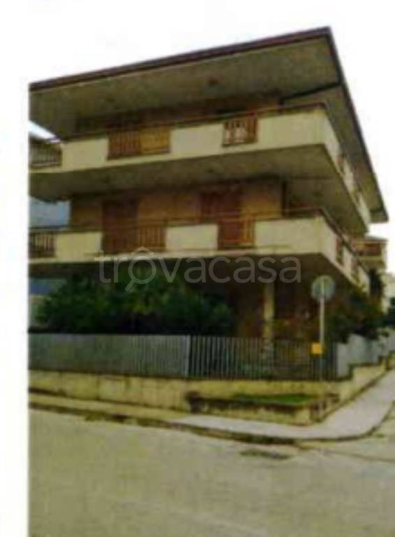 immagine annuncio 12 di 13