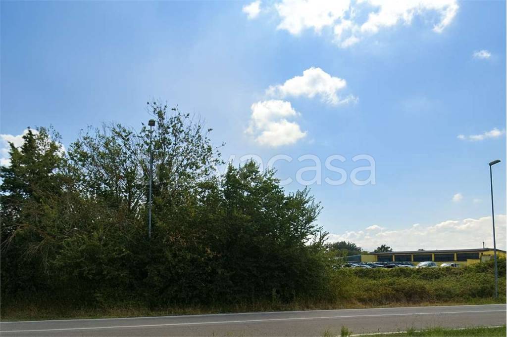 immagine annuncio 2 di 6