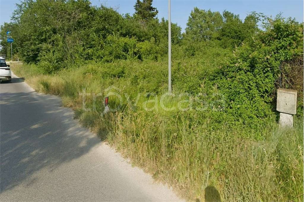 immagine annuncio 5 di 6